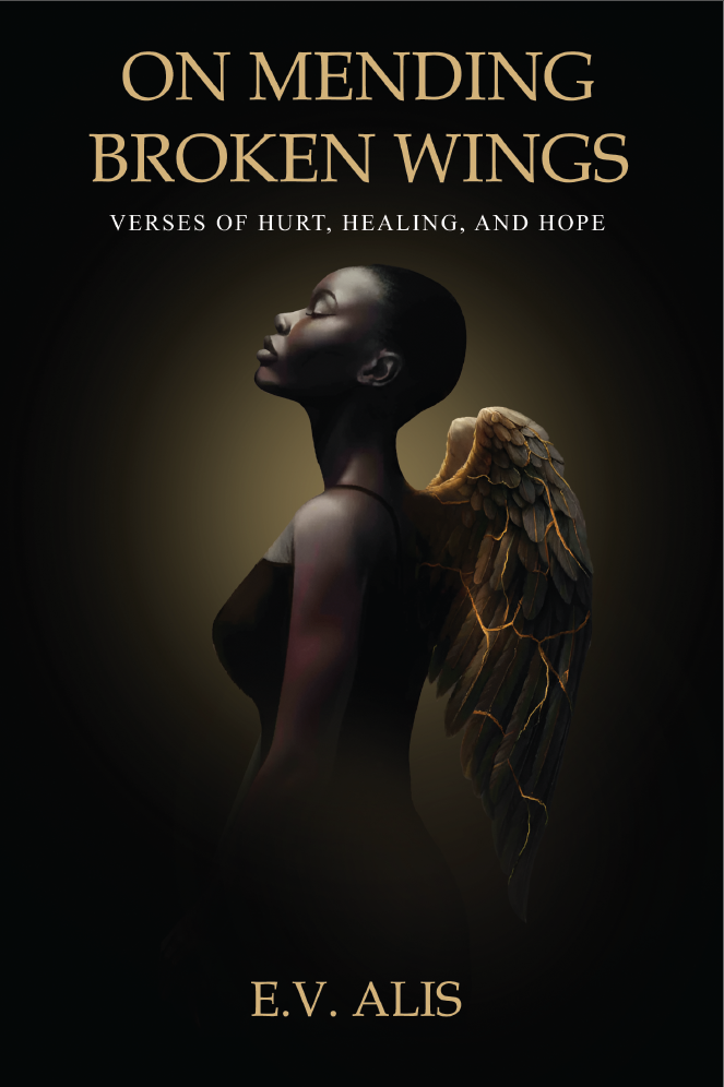 On Mending Broken Wings — book cover
